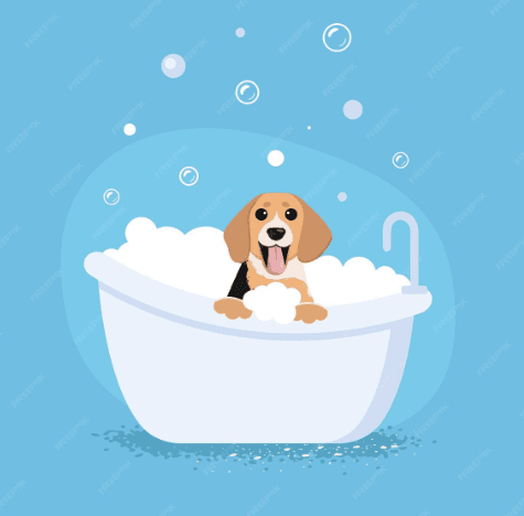 Ilustración pequeña de perrito para lavados específicos