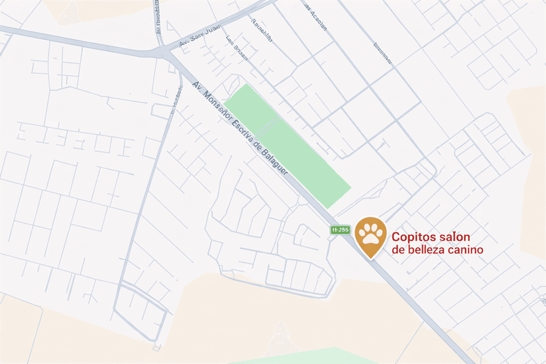 Mapa de ubicacion para llegar a Copitos
